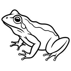 Minimalist Frog Line Art Vector