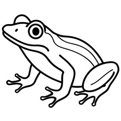 Minimalist Frog Line Art Vector