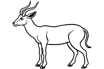 Markhor Minimalist Vector