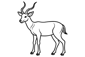 Markhor Minimalist Vector
