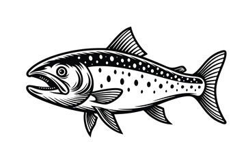 Fototapeta premium Arctic char fish vector silhouette