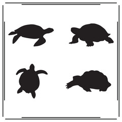 Sea Turtles silhouette, Sea Turtles illustration , Sea Turtles clipart, Sea Turtles vector , Sea Turtles icon , black Sea Turtles, Sea Turtles illustration on white background, 