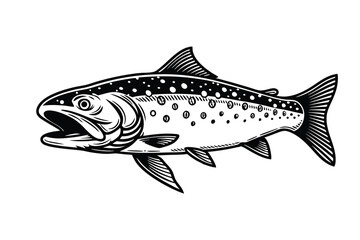 Naklejka premium Arctic char fish vector silhouette