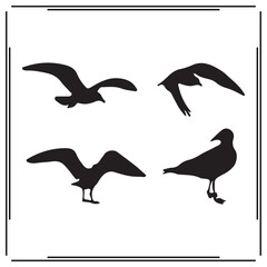 Seagull silhouette, Seagull illustration , Seagull clipart, Seagull vector , Seagull icon , black Seagull, Seagull illustration on white background,