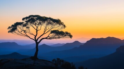 Solitary tree on mountain during vibrant sunset in scenic landscape
