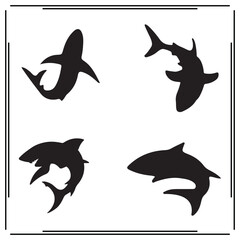 Shark silhouette, Shark illustration , Shark clipart, Shark  vector , Shark icon , black Shark, Shark illustration on white background,