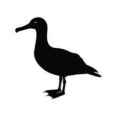 Albatross Silhouette Vector | Black and White Albatross Bird Illustration Design