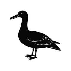 Albatross Silhouette Vector | Black and White Albatross Bird Illustration Design