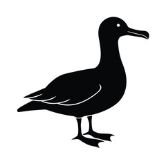 Albatross Silhouette Vector | Black and White Albatross Bird Illustration Design