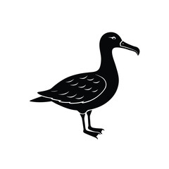 Albatross Silhouette Vector | Black and White Albatross Bird Illustration Design