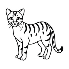 Obraz premium ocelot line art vector on white background