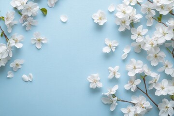 White blossoms on a light blue surface 