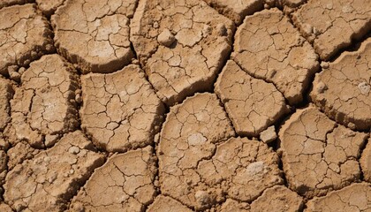 Fototapeta premium Cracked Earth Arid Landscape Texture, Dry Soil, Drought