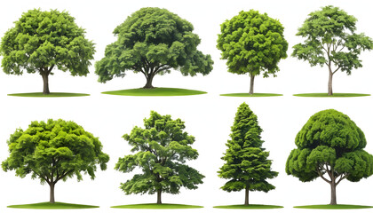 Collection of Trees isolated on white background