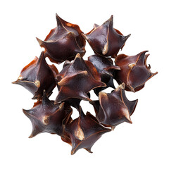 Fototapeta premium Water chestnut bulbs display showing their unique horned shape and rich brown color, Water caltrop or horn chestnut or water chestnut isolated on Transparent background