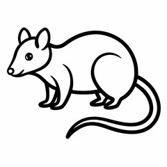 Opossum outline icon on white background