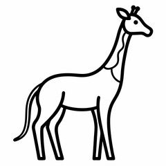 Zebra outline icon on white background