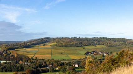 Panoramic view of one of England’s best vineyards in the Surrey Hills near Dorking