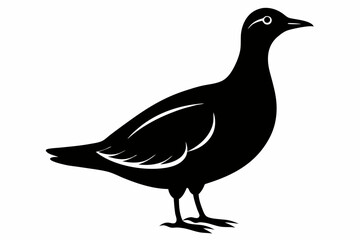 American woodcock silhouette black vector