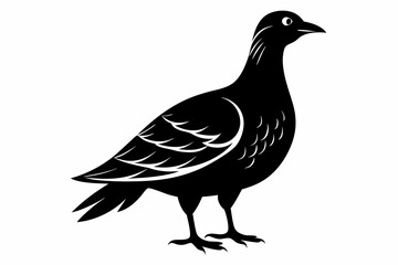 American woodcock silhouette black vector