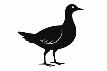 American woodcock silhouette black vector