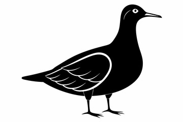 American woodcock silhouette black vector