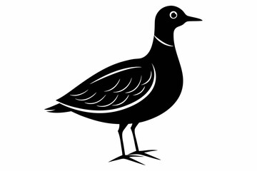 American woodcock silhouette black vector