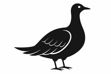 Fototapeta premium American woodcock silhouette black vector