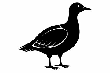 American woodcock silhouette black vector