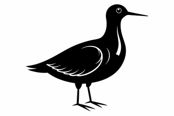 Obraz premium American woodcock silhouette black vector