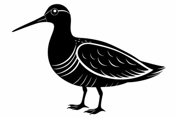 American woodcock silhouette black vector