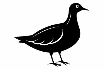 American woodcock silhouette black vector