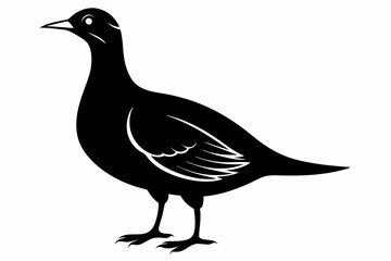 American woodcock silhouette black vector