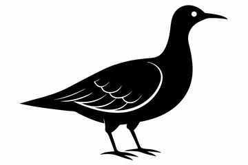 American woodcock silhouette black vector