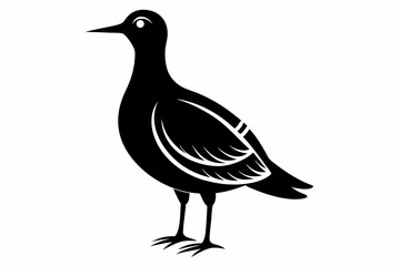 american woodcock sihouette black vector