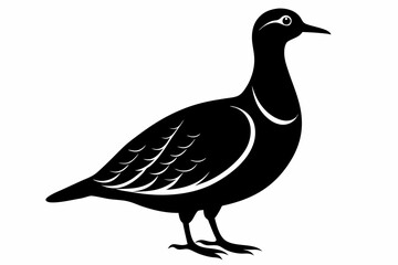 american woodcock sihouette black vector