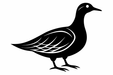 Obraz premium american woodcock sihouette black vector