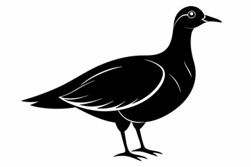 american woodcock sihouette black vector