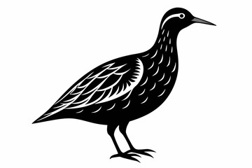 american woodcock sihouette black vector