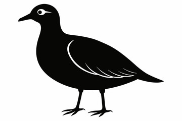 american woodcock sihouette black vector