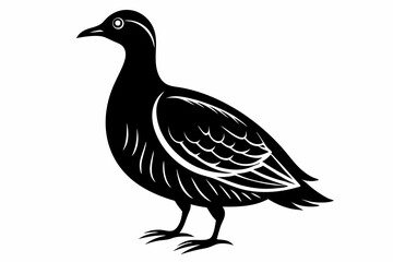american woodcock sihouette black vector