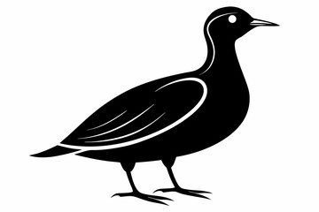 american woodcock sihouette black vector