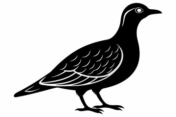 american woodcock sihouette black vector