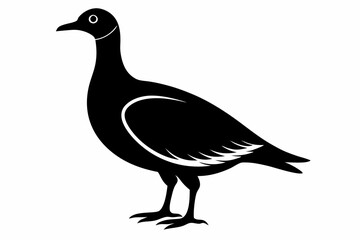 american woodcock sihouette black vector