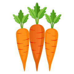 carrot Fruit isolated vector