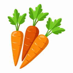 carrot Fruit isolated vector