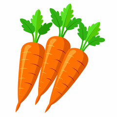 carrot Fruit isolated vector