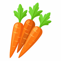 carrot Fruit isolated vector