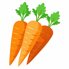 carrot Fruit isolated vector