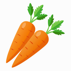 carrot Fruit isolated vector